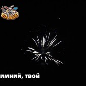 Фейерверк Яркий, зимний, твой 49 х 1,25